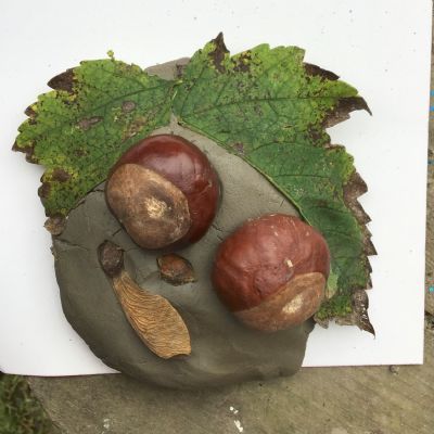 Term 1 Forest School