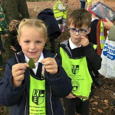 Kearsney Abbey Walk